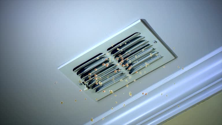 Best Affordable Duct Cleaning Services  in Meyersdale, PA